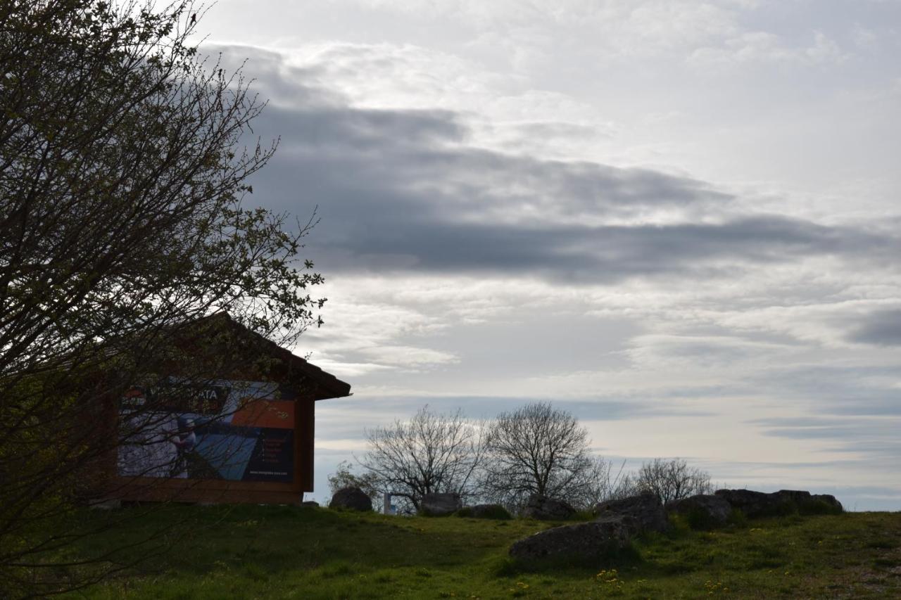 Hotel Le Meleze Moirans-en-Montagne Exteriör bild