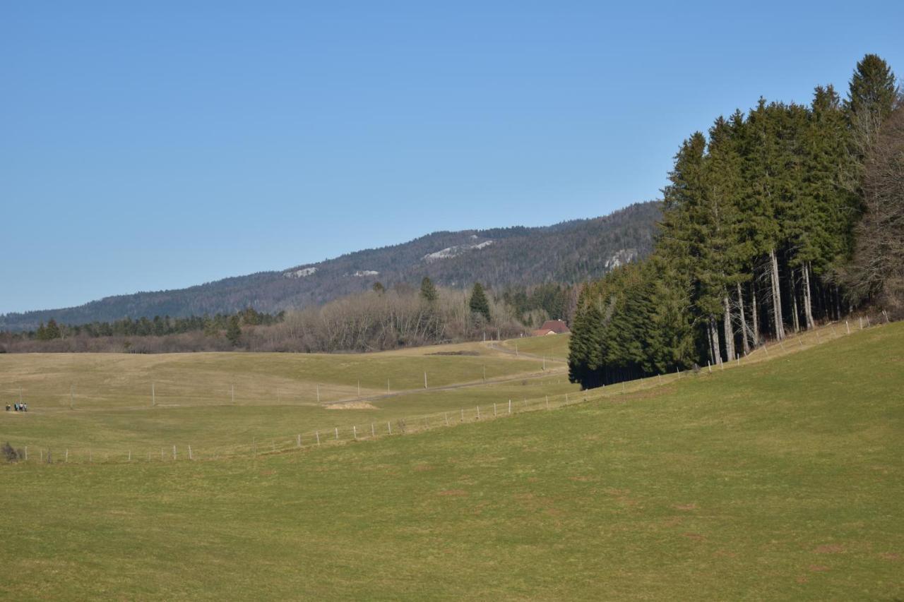 Hotel Le Meleze Moirans-en-Montagne Exteriör bild